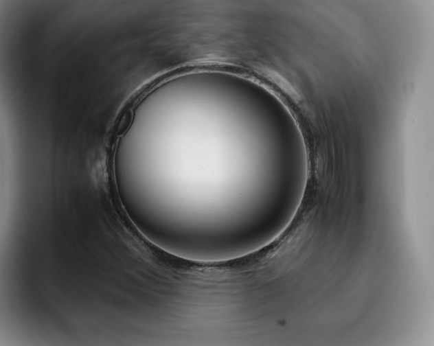 X0000092331356200709141410