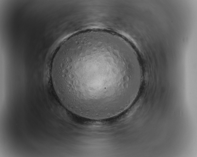 X0000092331359200709141410