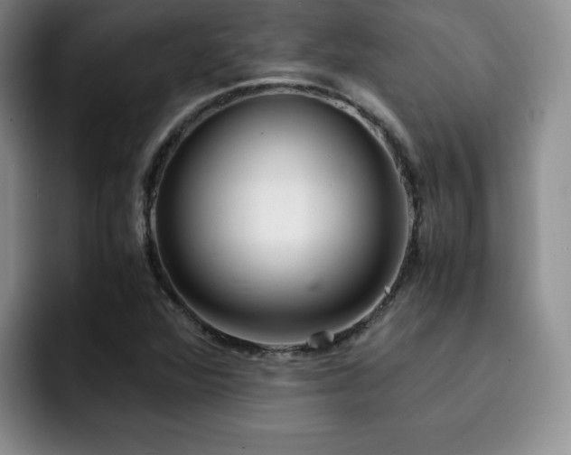 X0000092331360200709141410