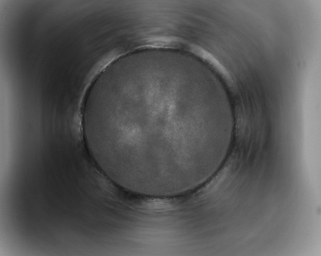 X0000092331362200709141410