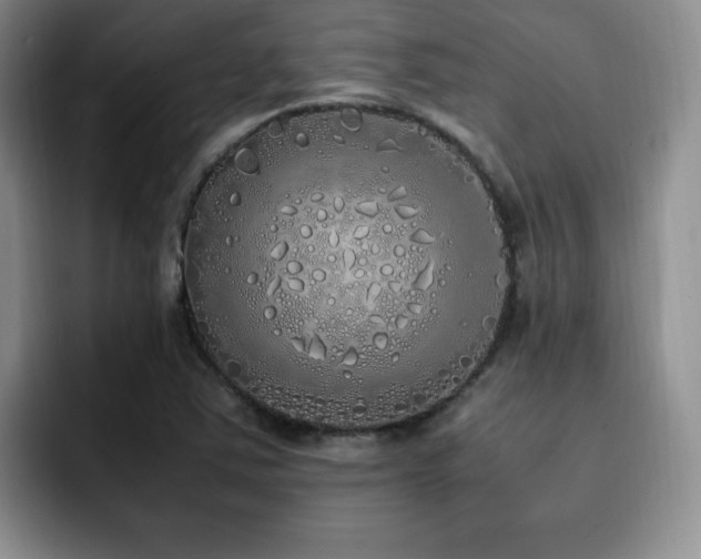 X0000092331363200709141409
