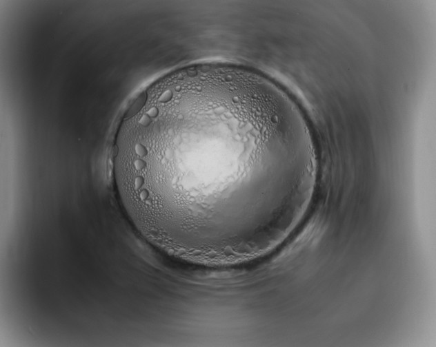 X0000092331367200709141409
