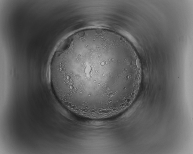 X0000092331371200709141409