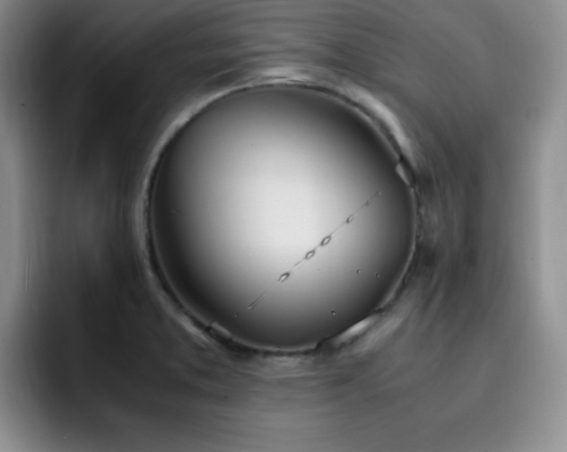 X0000092331373200709141409