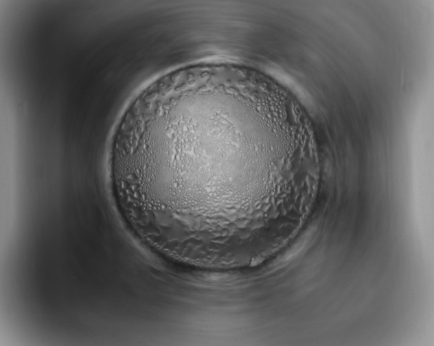 X0000092331375200709141409