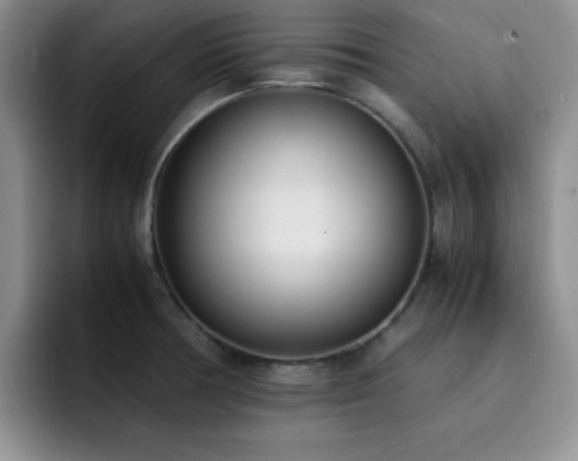 X0000092331378200709141409