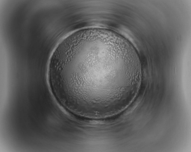 X0000092331379200709141409