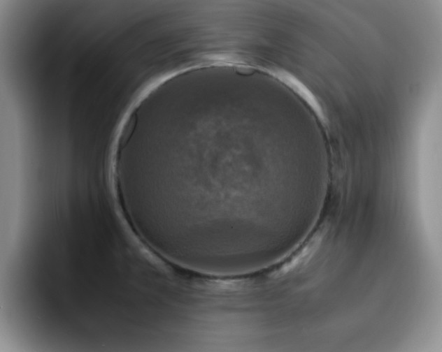 X0000092331381200709141409