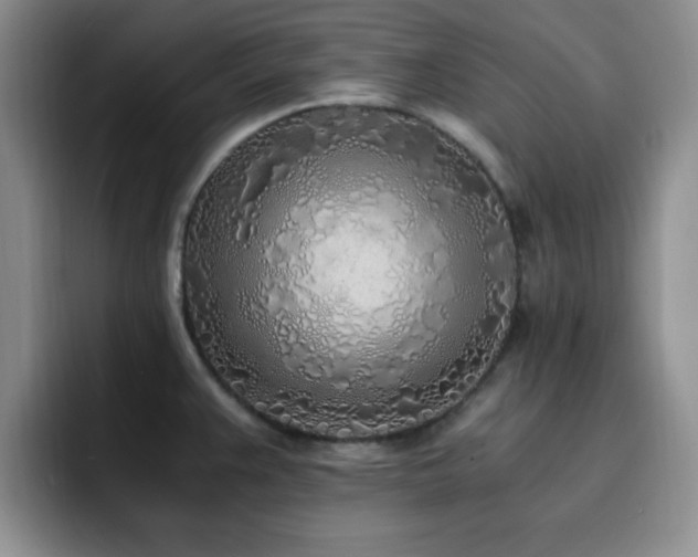 X0000092331383200709141409