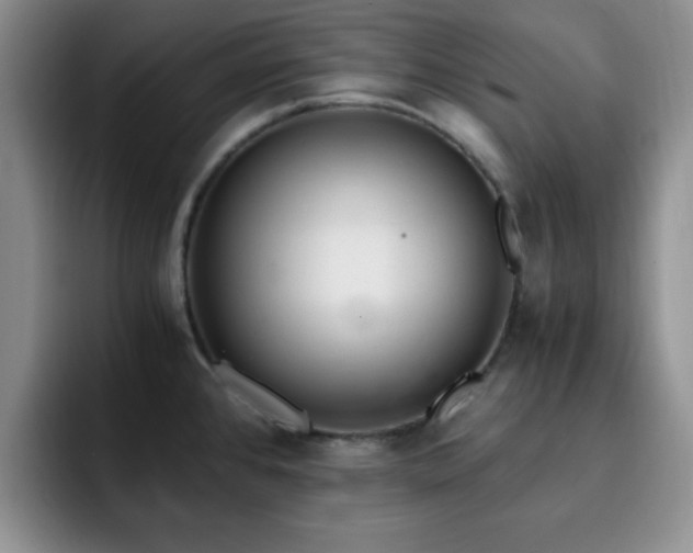 X0000092331384200709141409