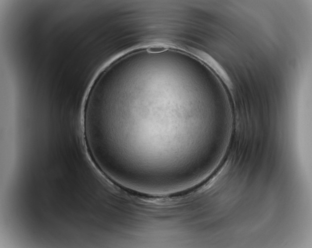 X0000092331388200709141409