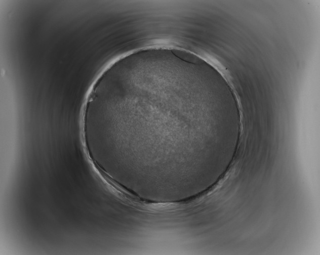 X0000092331392200709141409