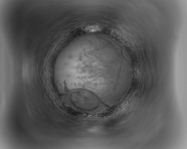 X0000092331393200709141408