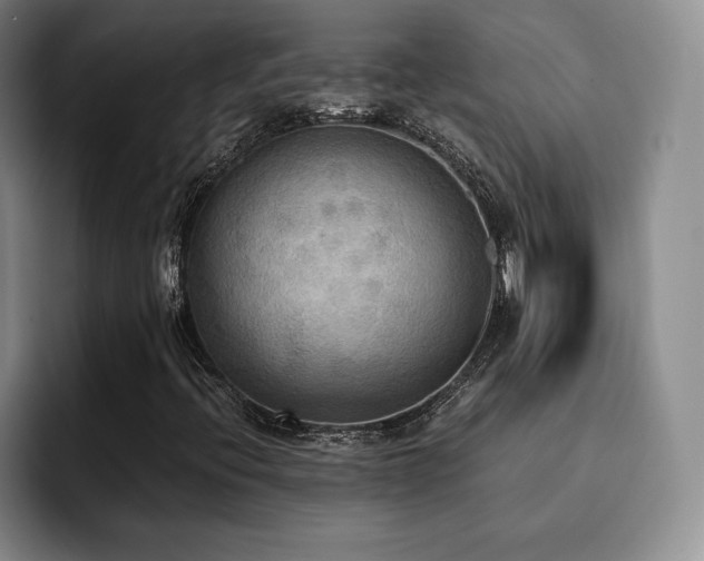 X0000092331396200709141409