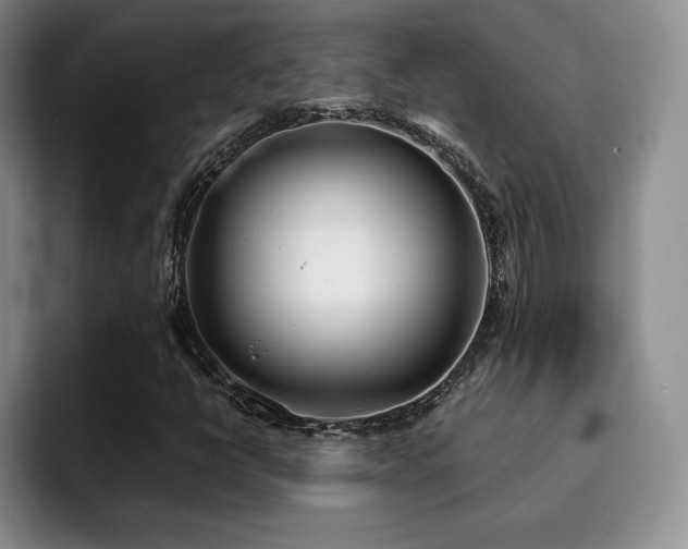 X0000092331398200709141409