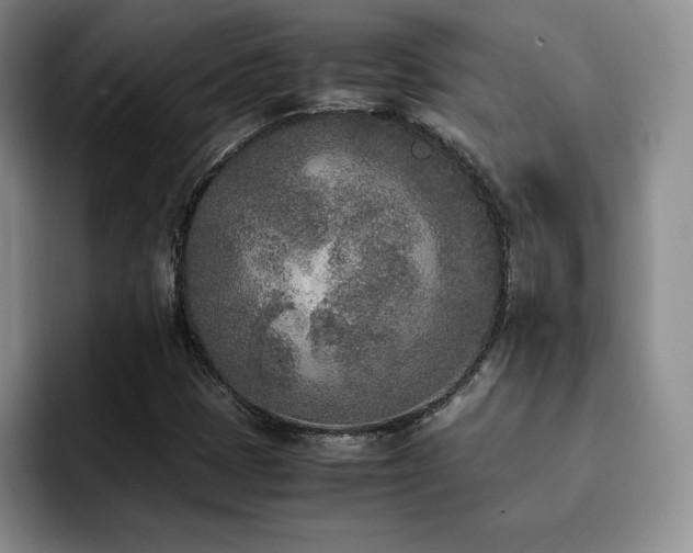 X0000092331401200709141409