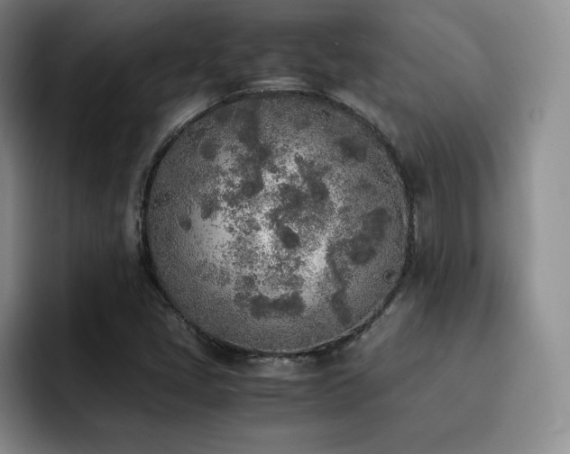 X0000092331405200709141409