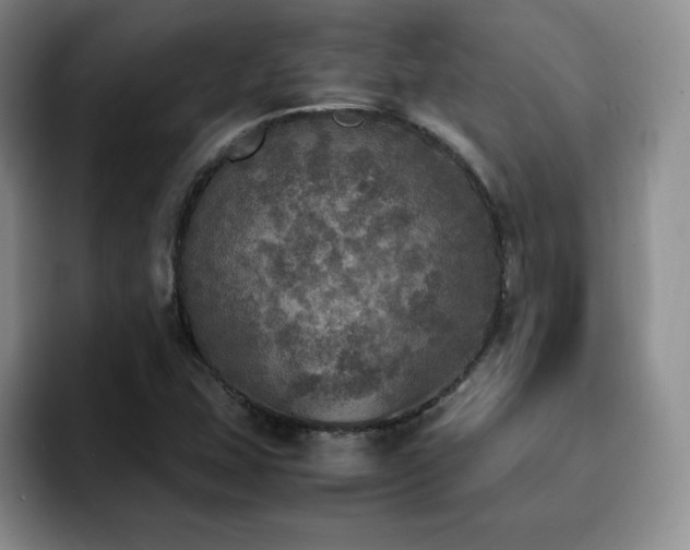X0000092331407200709141409