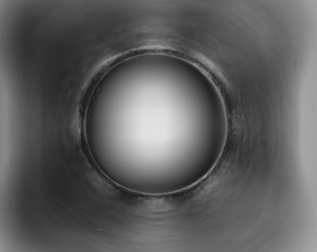 X0000092331408200709141409