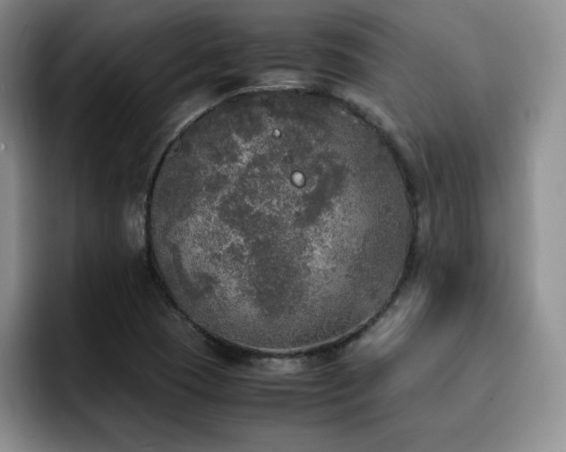 X0000092331409200709141409