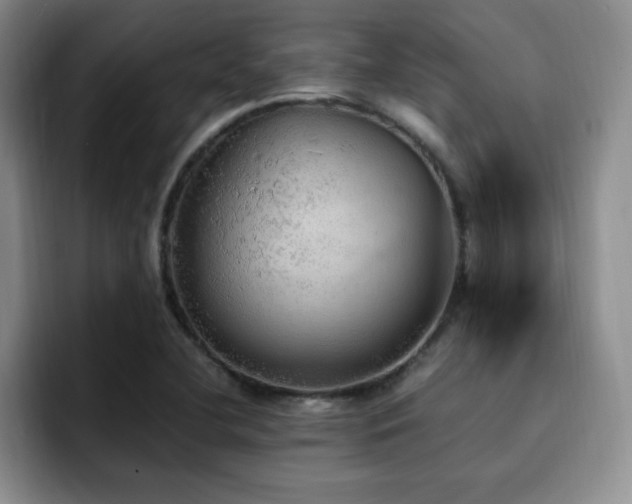 X0000092331412200709141409