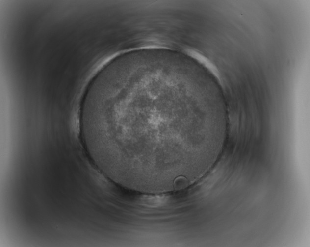 X0000092331415200709141409