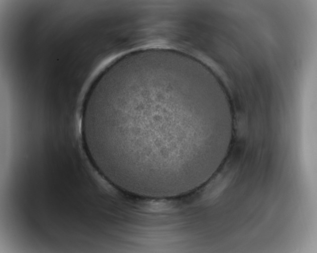 X0000092331416200709141409
