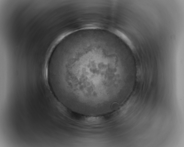 X0000092331419200709141409