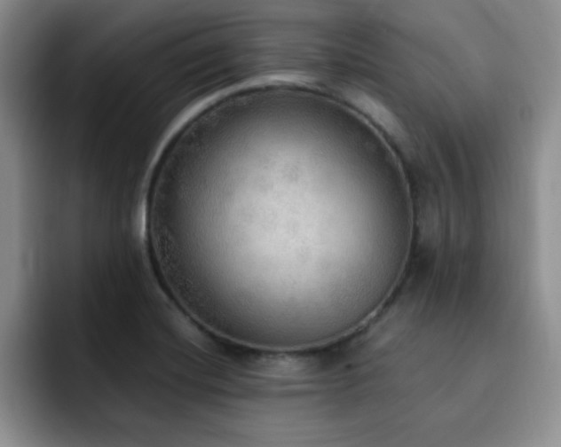 X0000092331420200709141409
