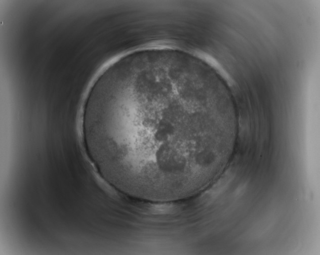 X0000092331421200709141409
