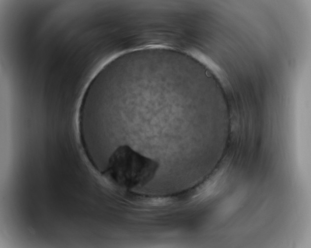 X0000092331423200709141409