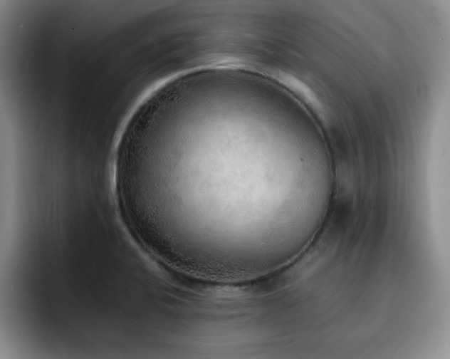 X0000092331424200709141409