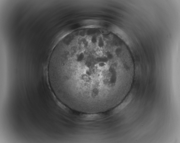 X0000092331425200709141409