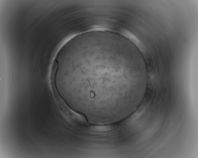 X0000092331427200709141409