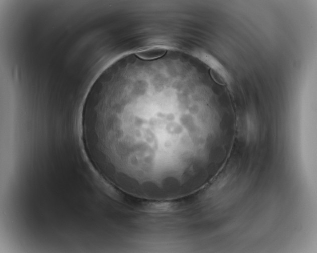X0000092331431200709141409