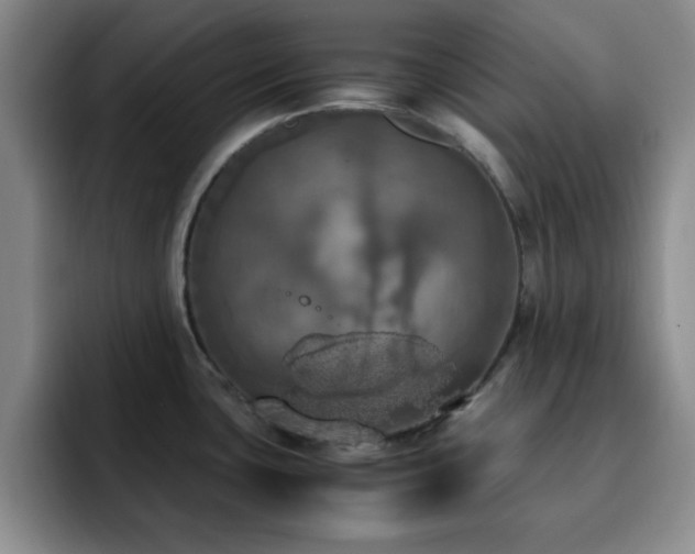 X0000092331435200709141409