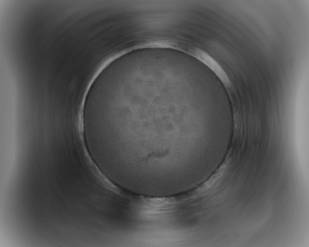 X0000092331436200709141409