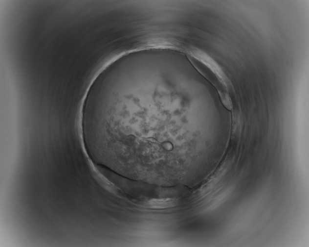 X0000092331439200709141409