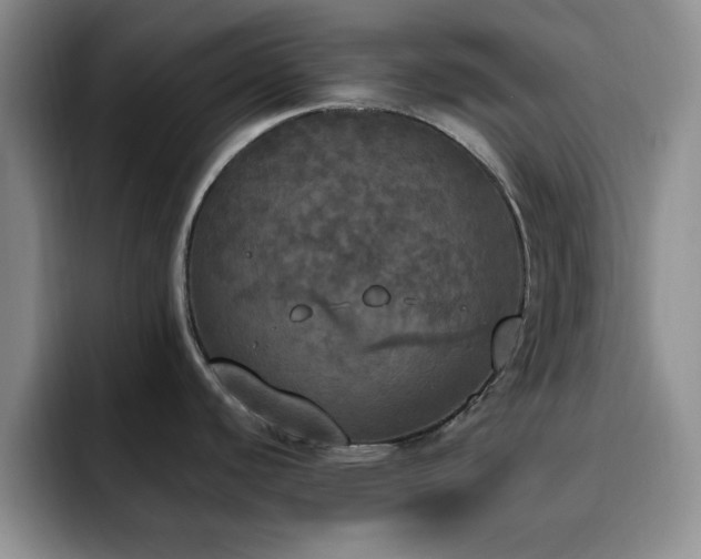 X0000092331440200709141409