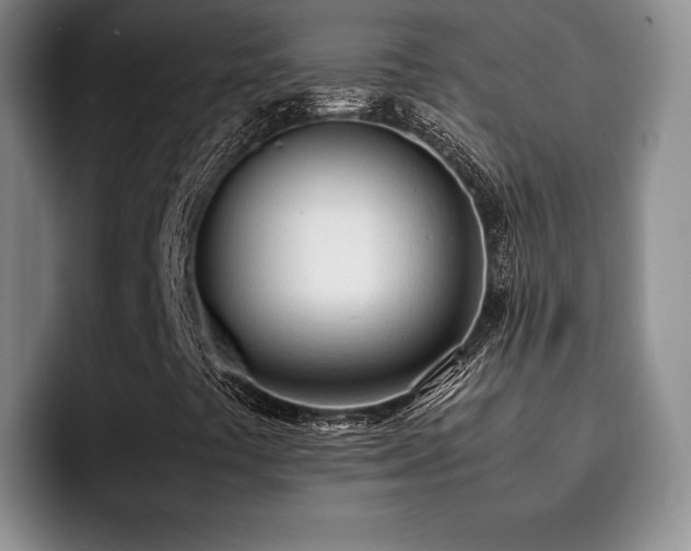 X0000092331441200709141408