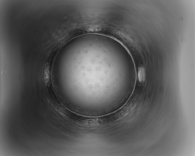 X0000092331444200709141408