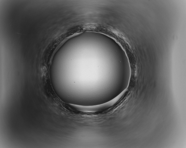 X0000092331445200709141408