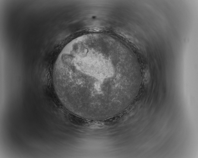 X0000092331446200709141408