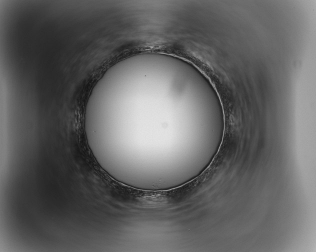 X0000092331447200709141408