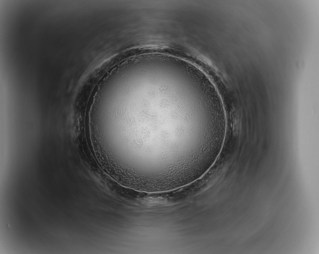 X0000092331448200709141408