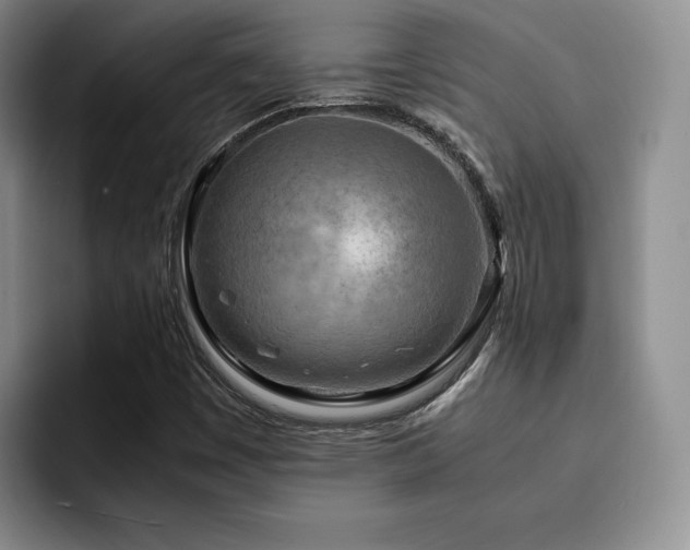 X0000092331449200709141408