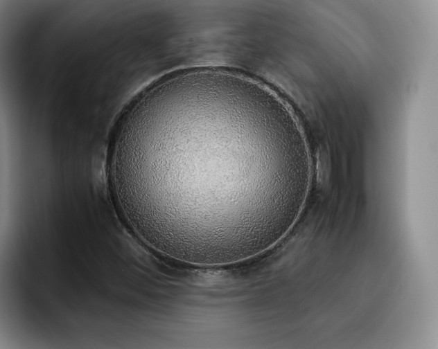 X0000092331452200709141408