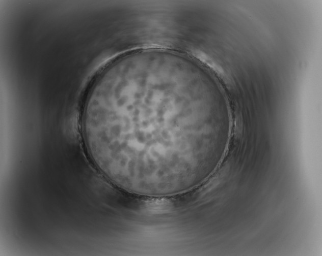 X0000092331454200709141408