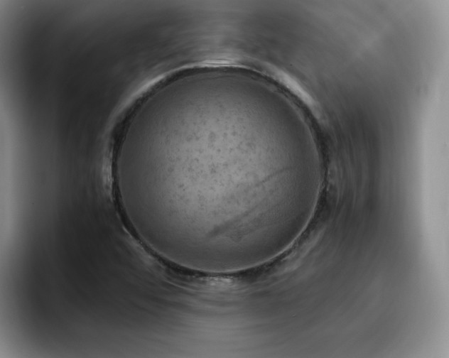 X0000092331456200709141408