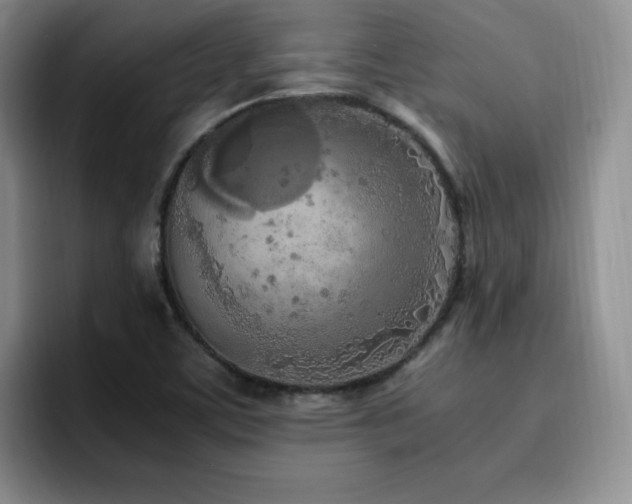 X0000092331459200709141408
